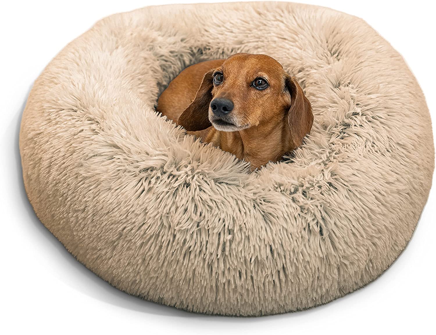 Best Friends by Sheri The Original Calming Donut