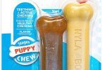 Nylabone Classic Puppy Chew Toy Twin Pack